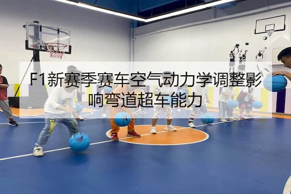 xin-sai-ji-sai-che-kong-qi-dong-li-xue-tiao-zheng-ying-xiang-wan-dao-chao-che-neng-li-2-495.jpg
